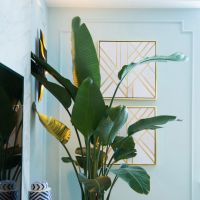 奧邦|臥室，擇一處舒適，予一份安寧