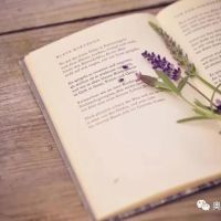 相約夏季,在奧邦邂逅書香